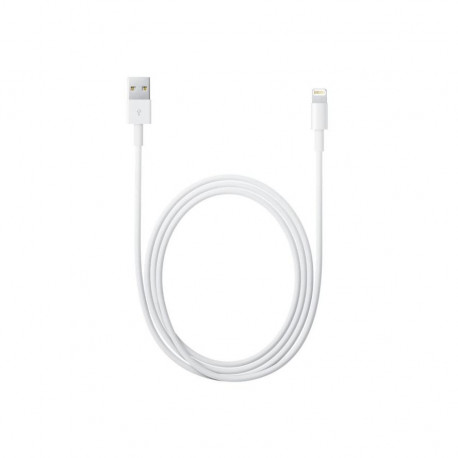 Apple Câble original USB - Lightning - BULK 2m