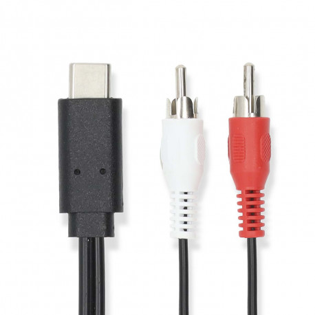 USB-C Male Cable - 2 X RCA Male 1M USB3.2 Gen1