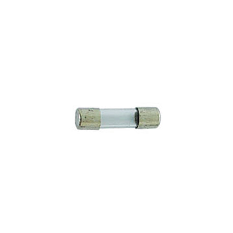 Fusibles en verre lents 5x20mm 10A *10*