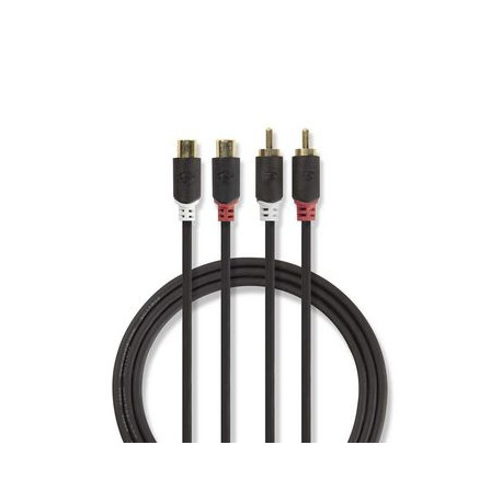 Cable 2m - 2 fiches males RCA/2 fiches femelle RCA