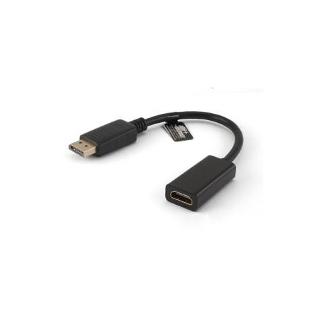 Omvormer Displayport mannelijk - HDMI A vrouwelijk